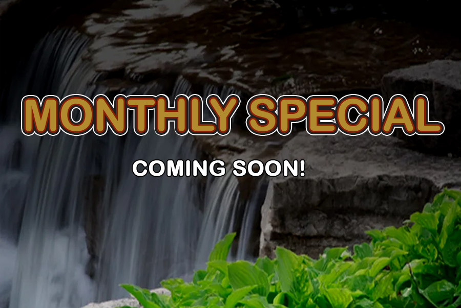 Monthly Special